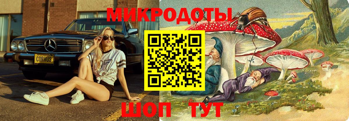 Галлюциногенные грибы мухоморы  где купить наркоту  Каменск-Шахтинский  Вход с VPN 